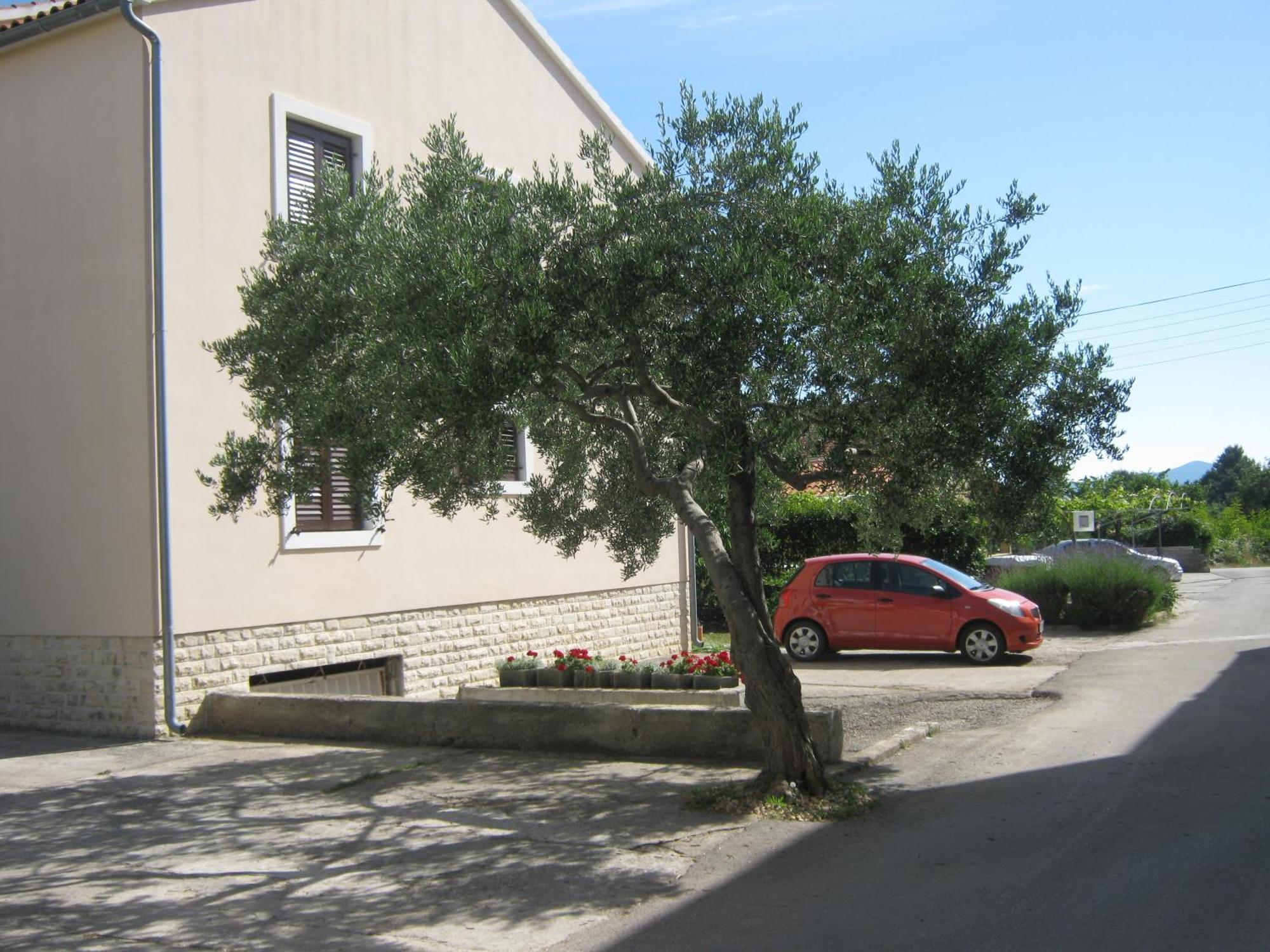 Apartments Blanka Zadar Exterior photo